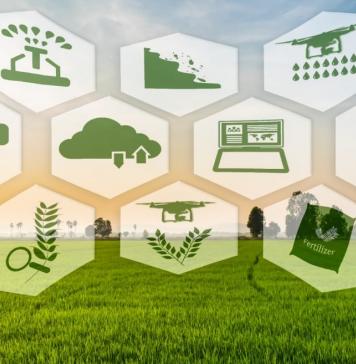 Global Blockchain Technology Market Forecast in the Agriculture Sector 