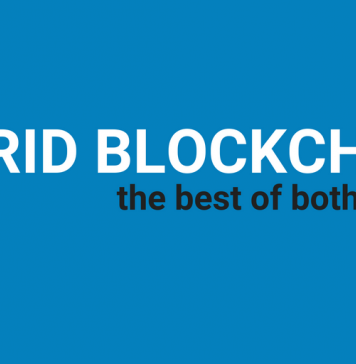 Hybrid Blockchain: The Best of Both Chains